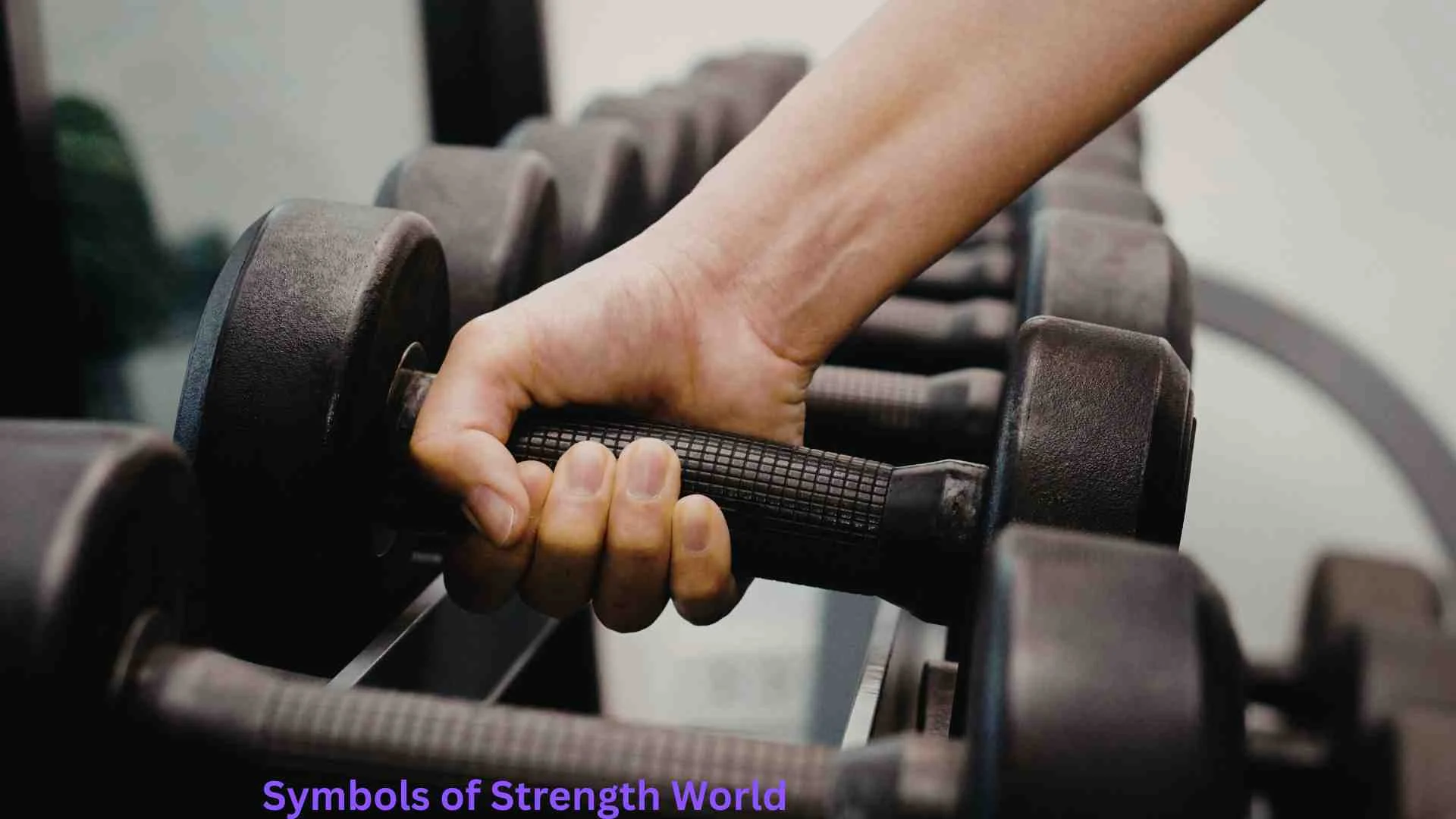 Symbols of Strength | Meaning, History, and Powerful Significance