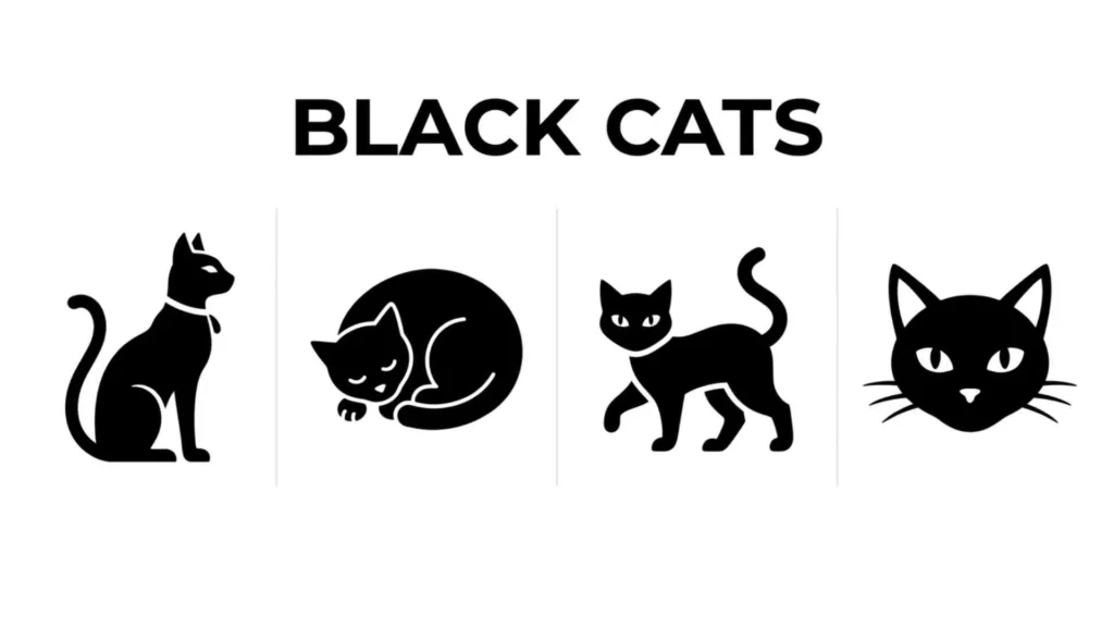 Black Cats