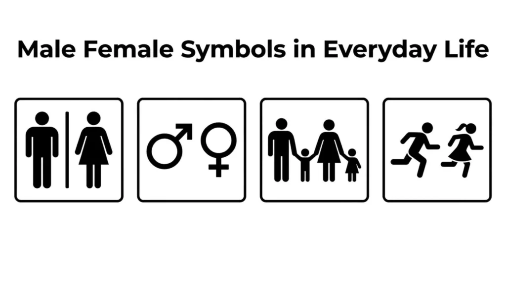 Male Female Symbols in Everyday Life