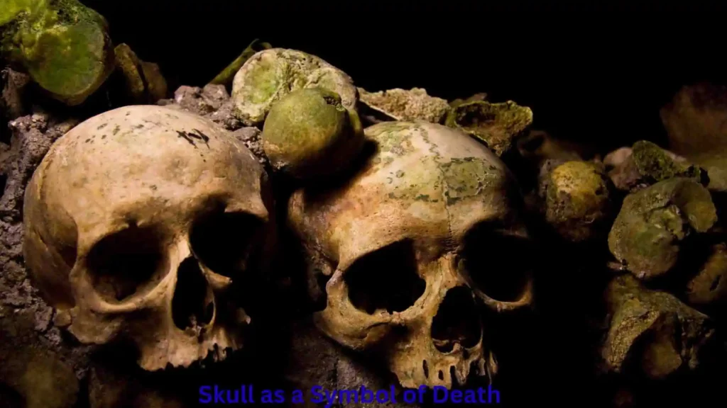 Skull as a Symbol of Death