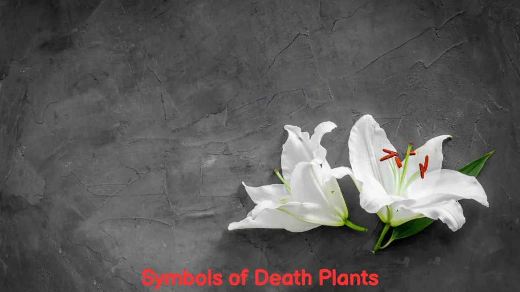 Symbols of Death Plants