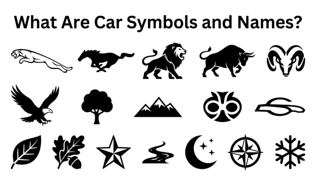 What Are Car Symbols and Names?