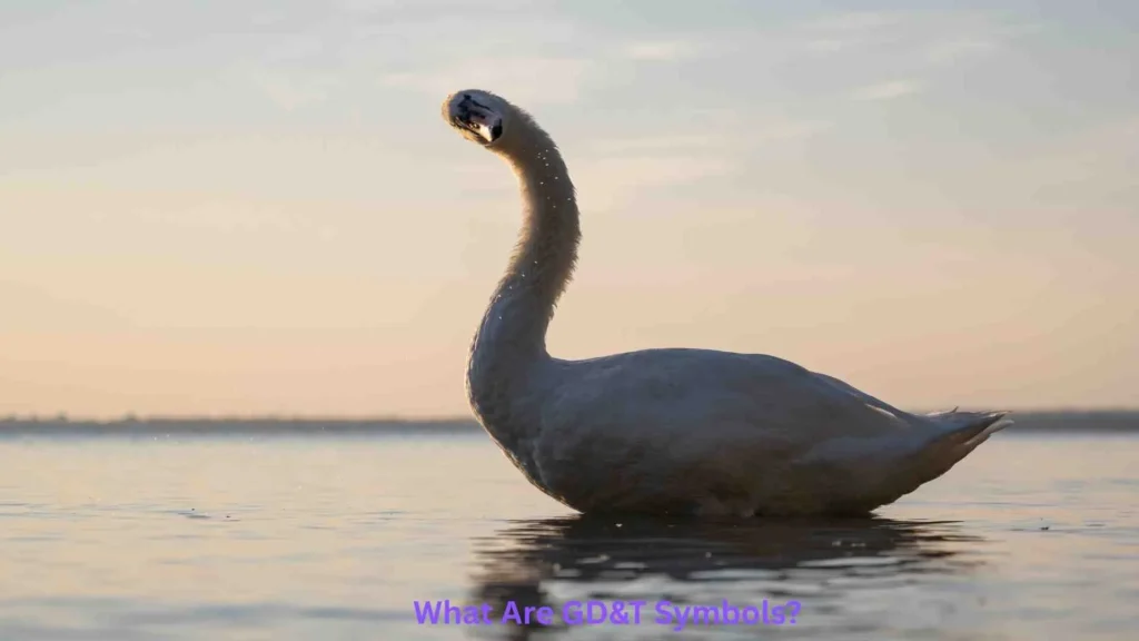 What Are GD&T Symbols?