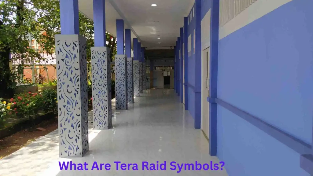 What Are Tera Raid Symbols?