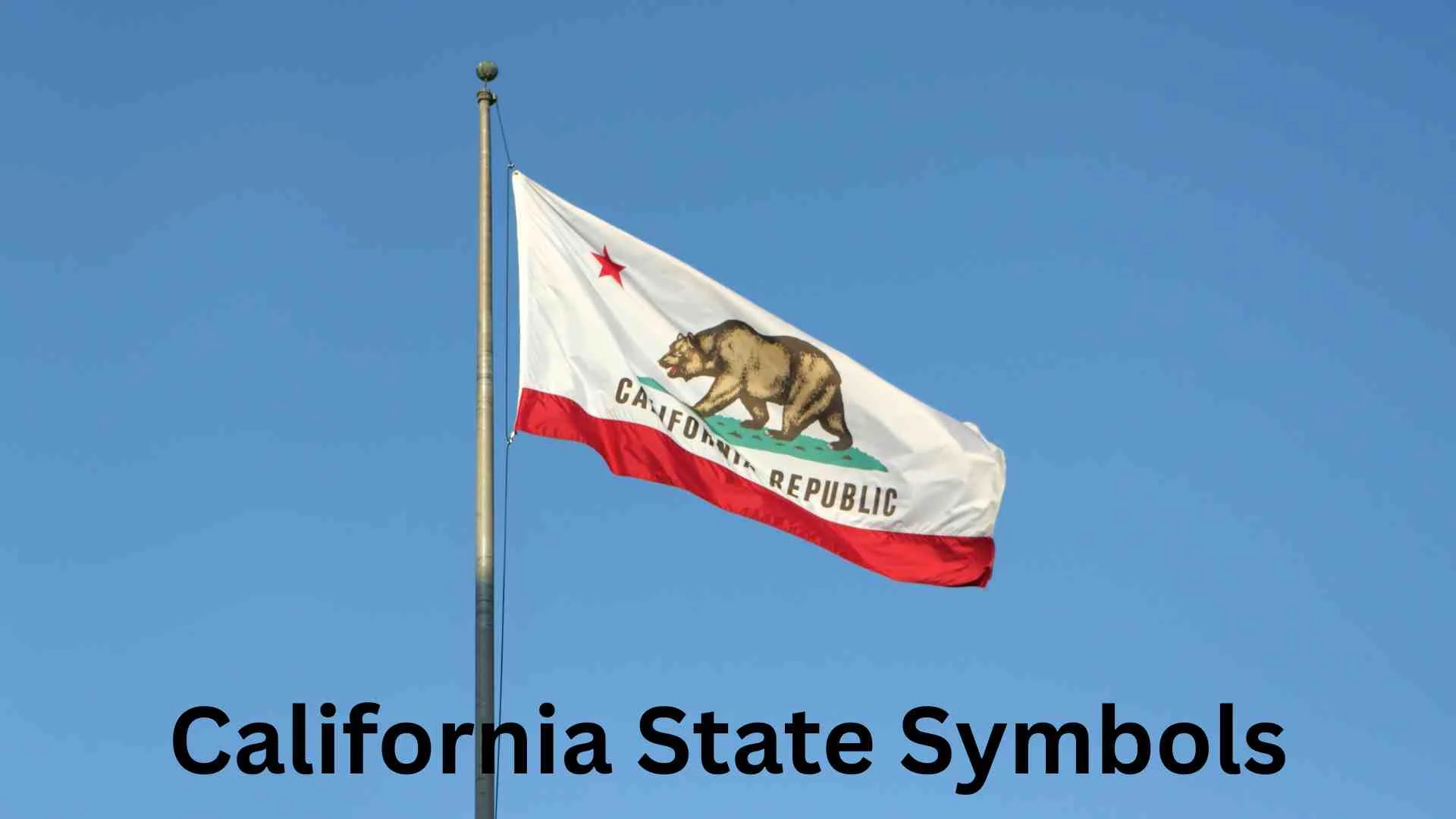 California State Symbols | A Complete Guide to the Golden State’s Official Emblems