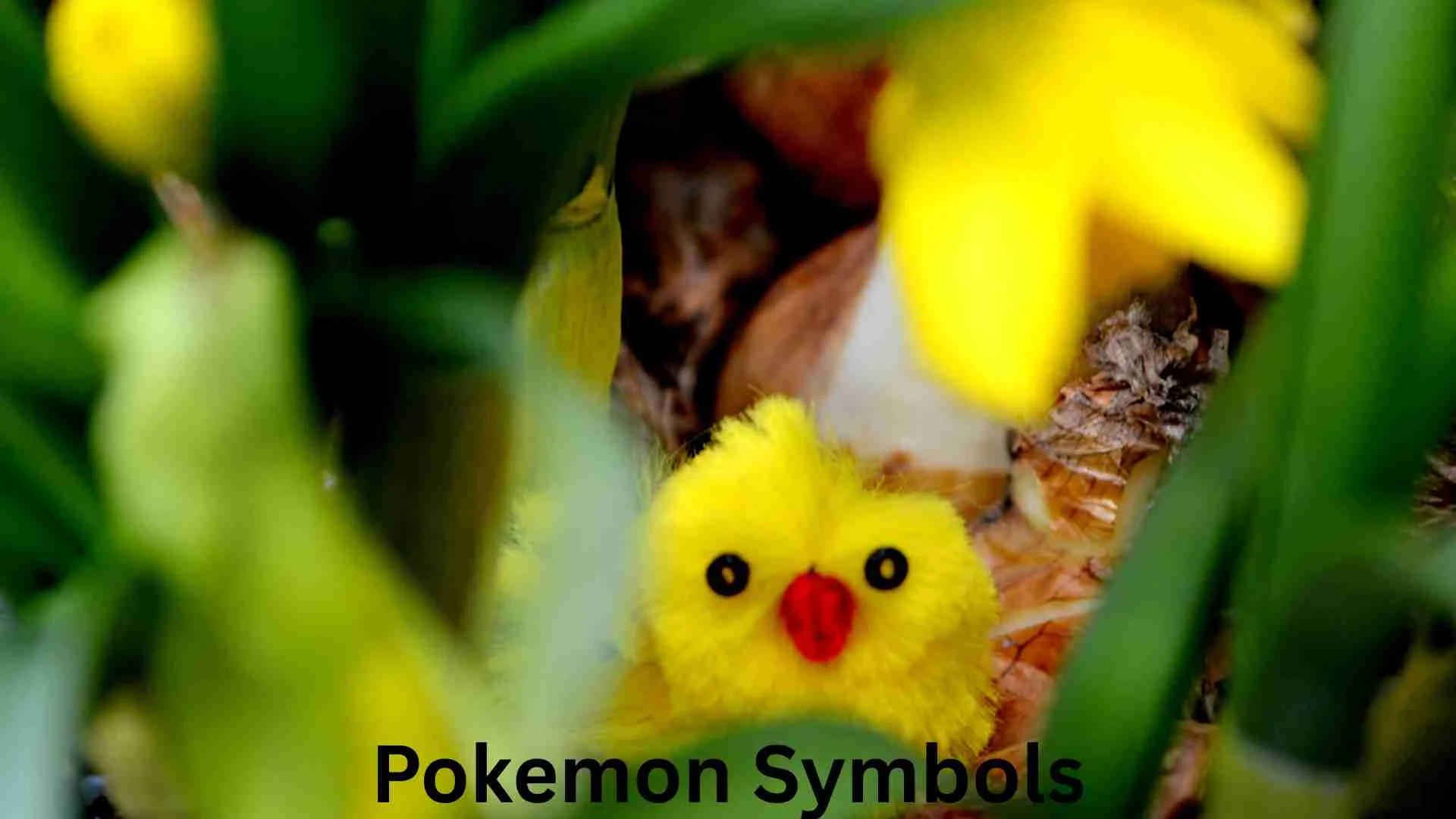Pokemon Symbols