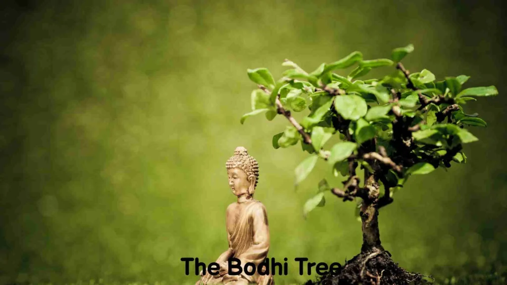 The Bodhi Tree