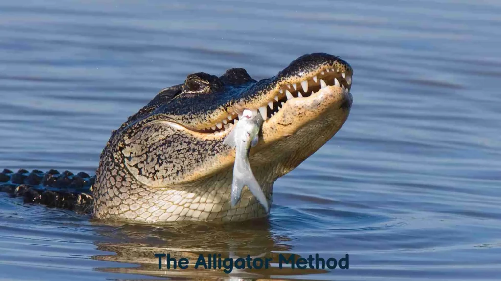 The Alligator Method