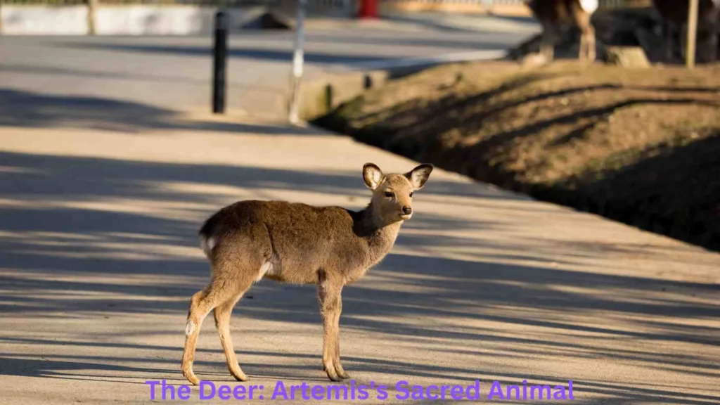 The Deer: Artemis's Sacred Animal