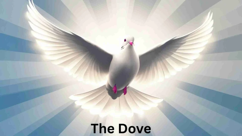 The Dove