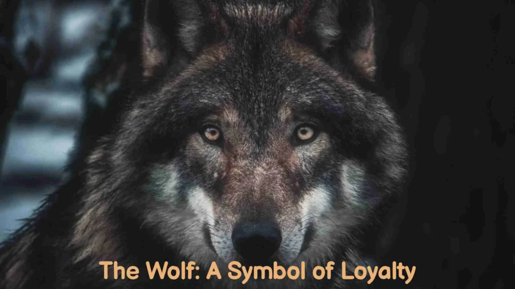 The Wolf: A Symbol of Loyalty